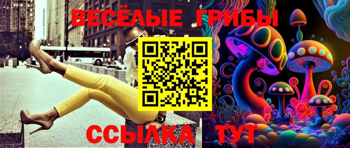 Псилоцибиновые грибы прущие грибы Волхов