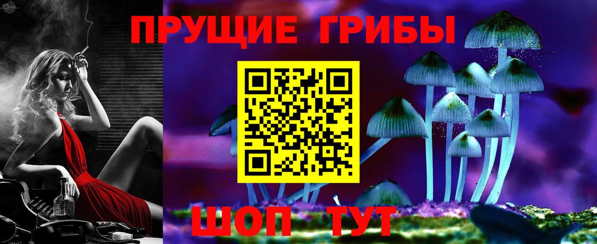 Галлюциногенные грибы мухоморы  Псилоцибиновые грибы MAGIC MUSHROOMS  Волхов  Вход с VPN 